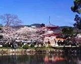 http://www.kyoto.travel/images/aboutkyoto/t09111.jpg