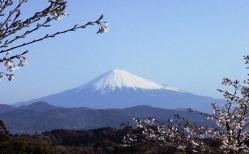 Mt.Fuji